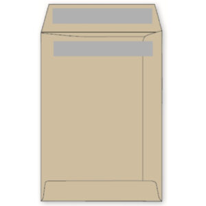 LEO C5 Envelopes 229 x 162mm 90gsm(Pack of 25)